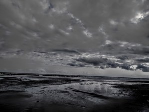 IMG_20180715_161913 (1)